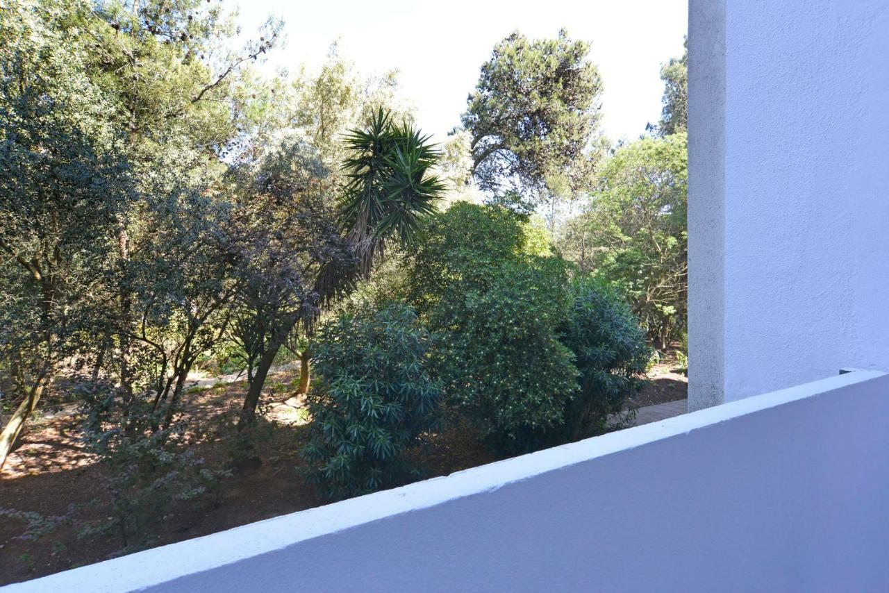 Tropical View Cascais - Checkinhome 외부 사진